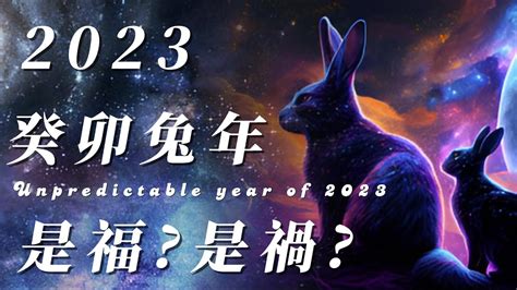 2023年是兔年嗎|2023「黑兔年」來臨！60年輪一次厄運雙倍 命理師勸。